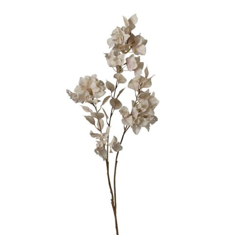 RAMO BOUGANVILLEA CM100 BEIGE